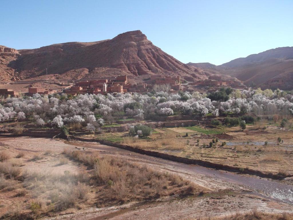 Kasbah Ounila Hotel Ajt Benhaddu Kültér fotó